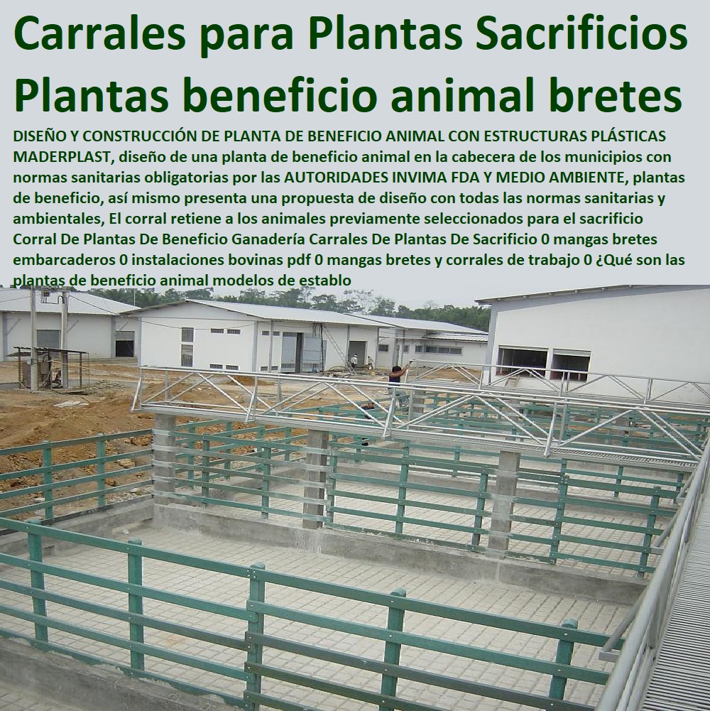 Corrales plásticos Maderplast encierro ganadería corral plástico Explotación Ganadera Automatizada, Sistemas de Pastoreo, Estabulación de Ganado, Pastoreo Intensivo, Establos, Corrales, Saladeros, Comederos, Cerramientos, Postes, Ganaderías Tecnificadas, Ganaderías Tecnificadas, para ganado modernos 0 Establos Para Ganado Económicos 0 Modelos de Establos Para Ganado Vacuno 0 Modelos de Establos Para Ganado Vacuno 0 Diseño Corrales ganderos 0 Corrales plásticos Maderplast encierro ganadería corral plástico para ganado modernos 0 Establos Para Ganado Económicos 0 Modelos de Establos Para Ganado Vacuno 0 Modelos de Establos Para Ganado Vacuno 0 Diseño Corrales ganderos 0